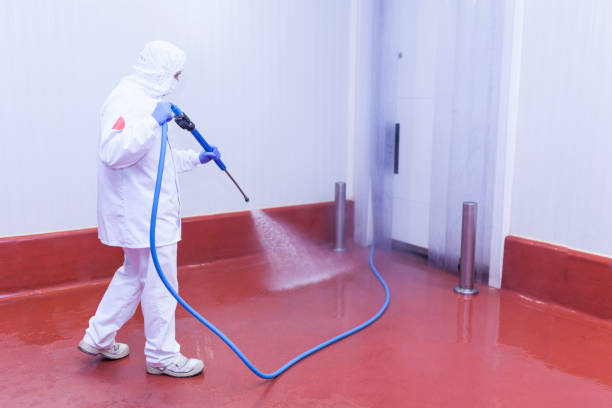 Best Pool Deck Cleaning  in Yucos, CA